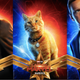 Illustration for article titled New Captain Marvel Posters Feature the MCU's Hero Pet and Some Faces From the Uncanny Valley